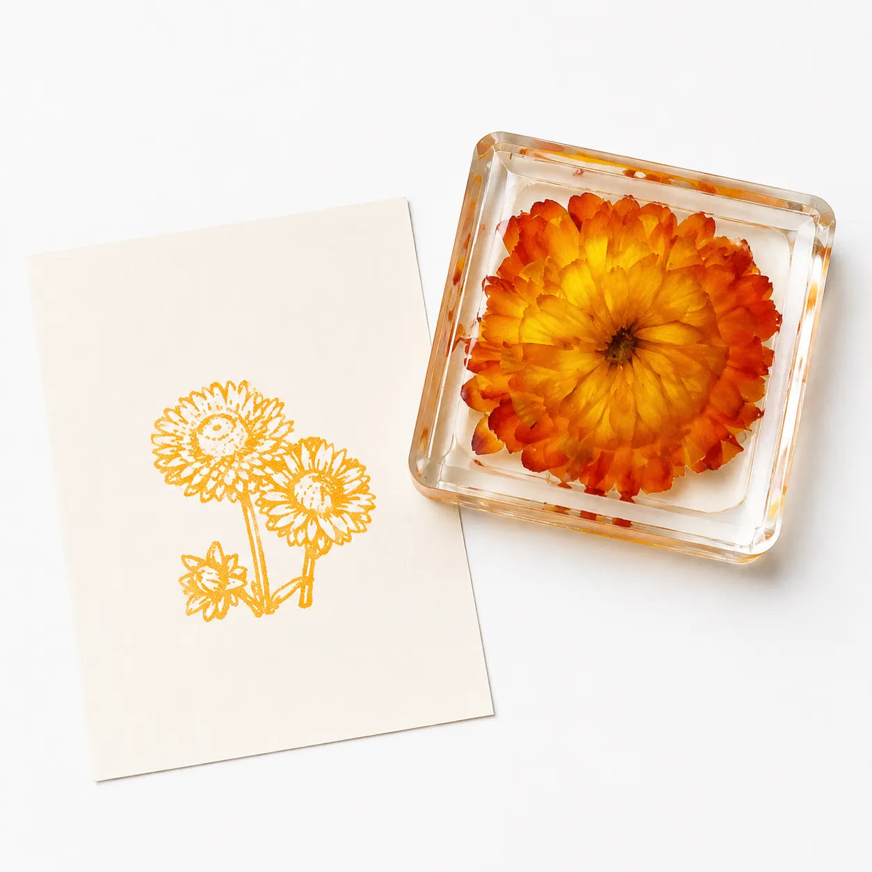 Real Butterfly Specimen Rubber Stamp