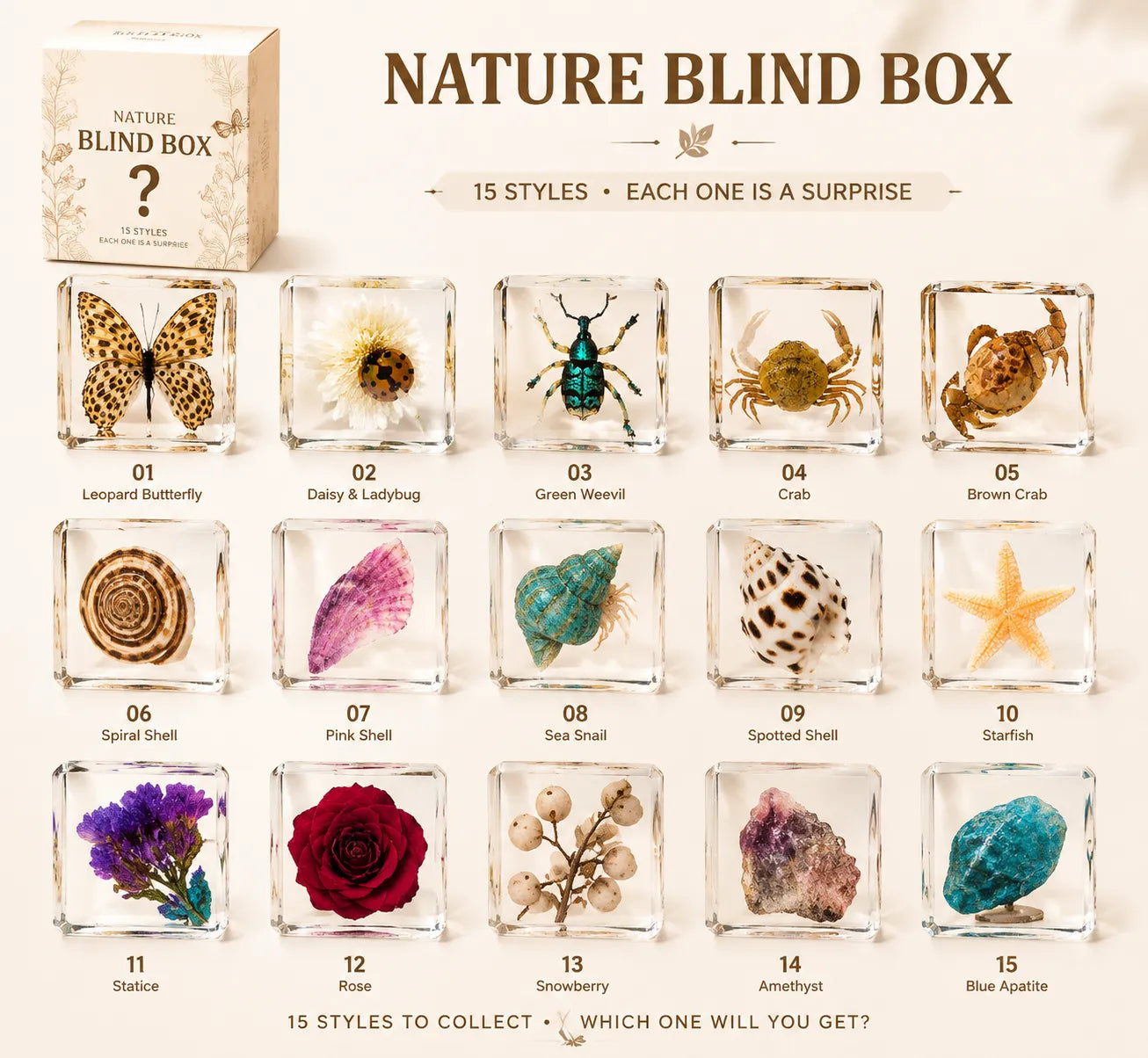 Real Butterfly Specimen Rubber Stamp
