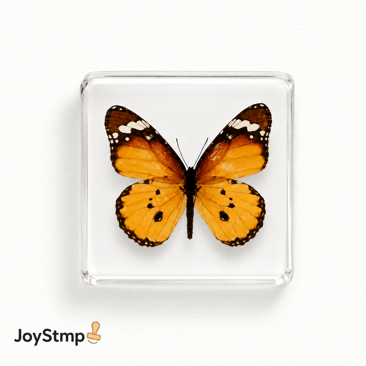 „IT IS WHAT IT IS.“ MEME-Stempel