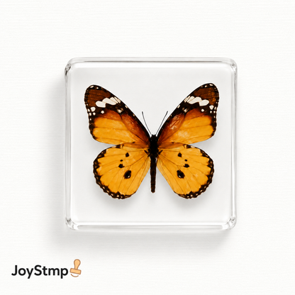 „IT IS WHAT IT IS.“ MEME-Stempel